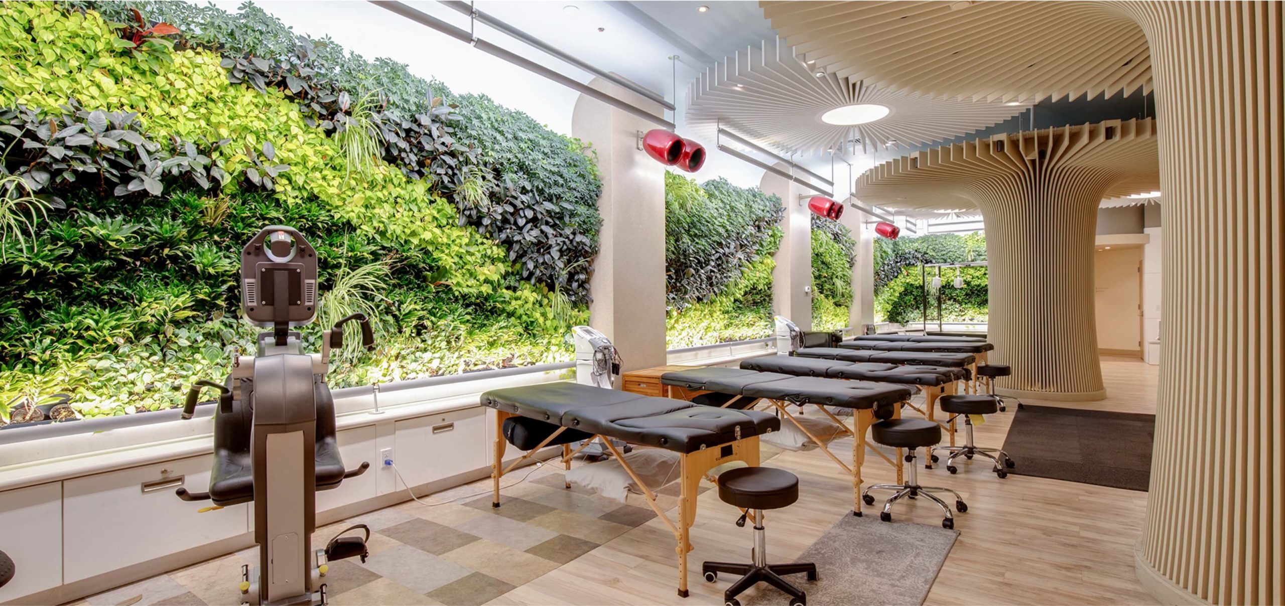 Bright treatment room with row of adjustable tables, vertical garden wall, and wooden columns.