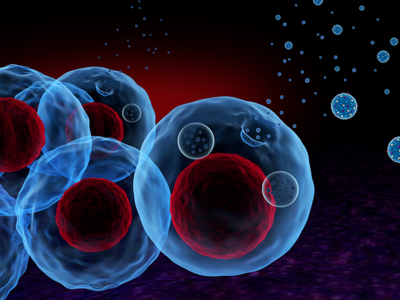 Close-up illustration of blue cell membranes with red nuclei and floating blue bubbles