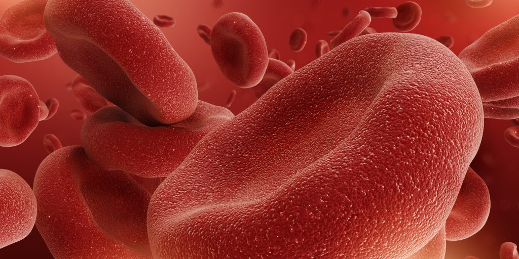 Close-up view of red blood cells flowing and stacking in a blood vessel.